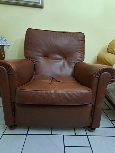 Poltrona singola fumoir - poltrona, "fumoir"