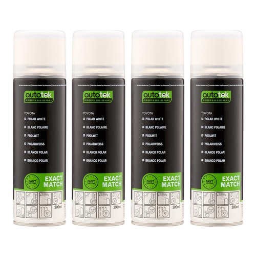 Vernice spray aerosol