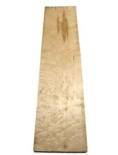 1X Acero Occhi Di Uccello