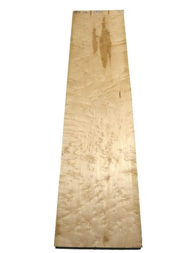 Acero occhi uccello - 1x,