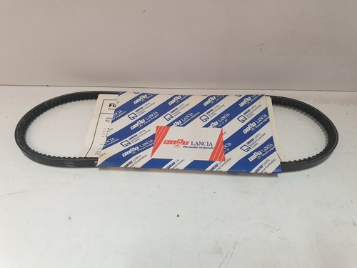 Cinghia alternatore originale