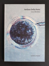 Stefano Della Porta, Da Giotto