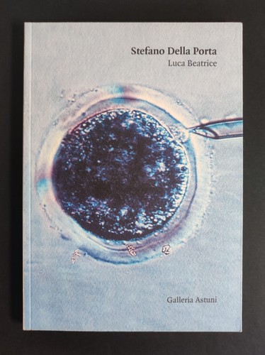 Stefano della porta - della, da