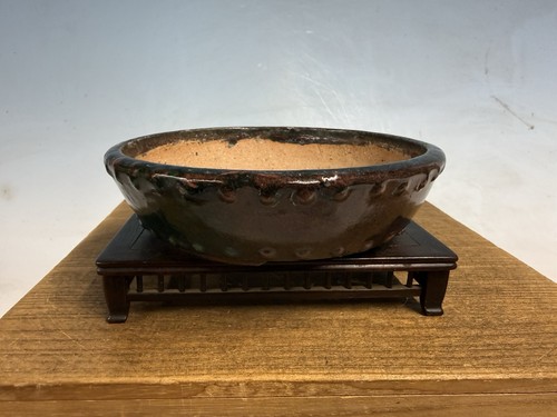 Vaso per bonsai - , tokoname