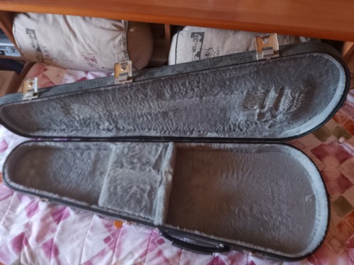 Custodia rigida per chitarra - rigida,