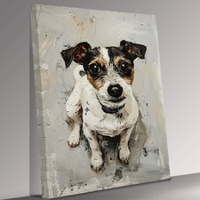 Jack Russell cane bellissima