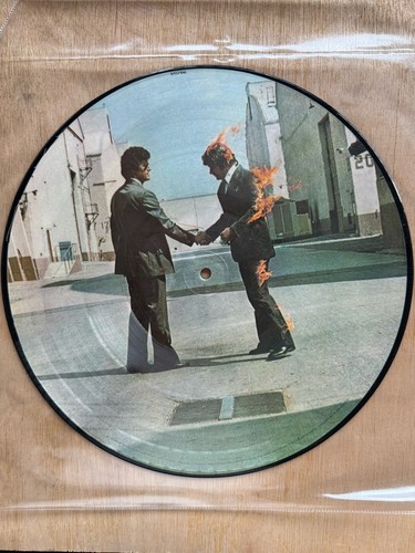 Pink floyd wish you - -,
