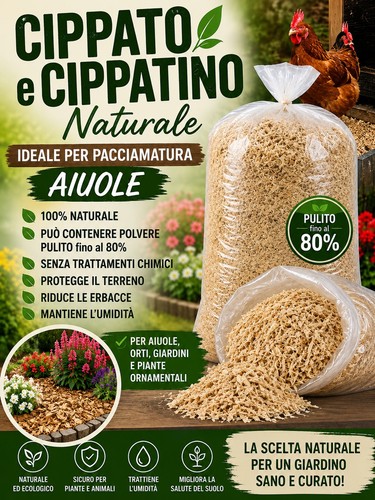 Cippato legno natirale - di,