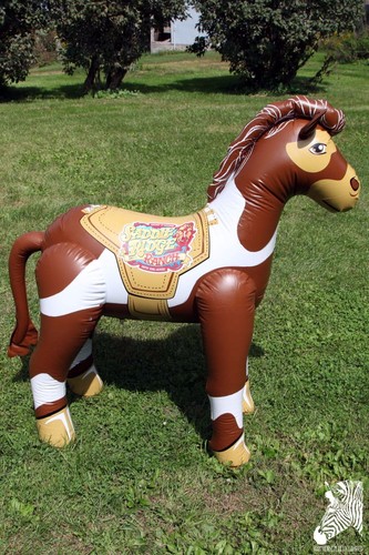Gonfiabile 2010 vbs - 2010, pony