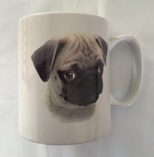 Delightful pug pup - pug, &