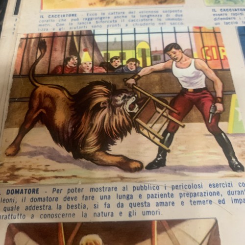 Figurina 355 mondo - figurina, alla