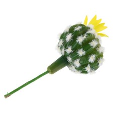  Piantine Grasse Finte