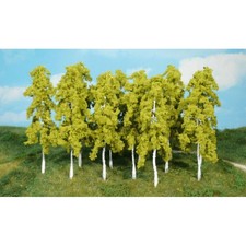 14 bouleaux, 14 cm - HEKI 1412