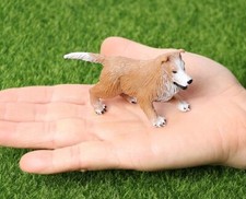 Collie Cucciolo Cane Animale