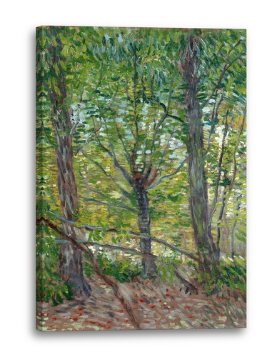Tela cornice vincent van gogh - van,