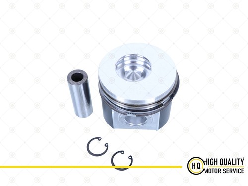 Piston with ring - with, std