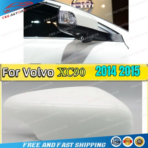Ice white right side door - ,