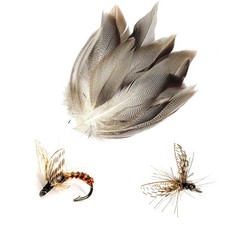 50 Pezzi Fornitore di