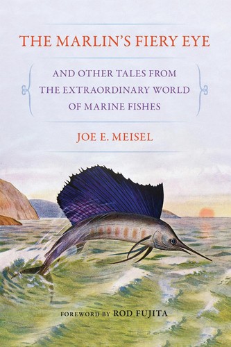 The marlin fiery - marlin's,