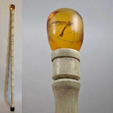 Jurassic Park Amber Cane Prop Replica - John Hammond Hardwood Dino DNA/Vero Insetto