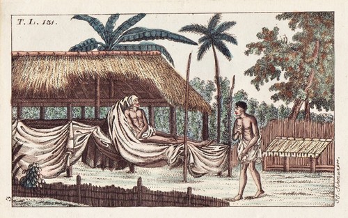 Tahiti polinesia francese - tahiti,
