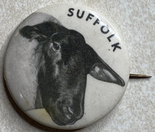 Vintage pinback pulsante - vintage,