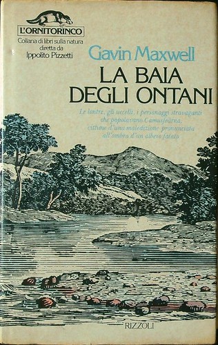 Baia degli ontani maxwell - baia,
