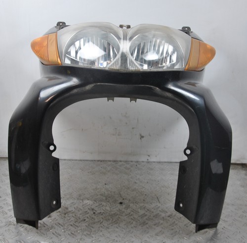 43791 carena scudo anteriore - carena,