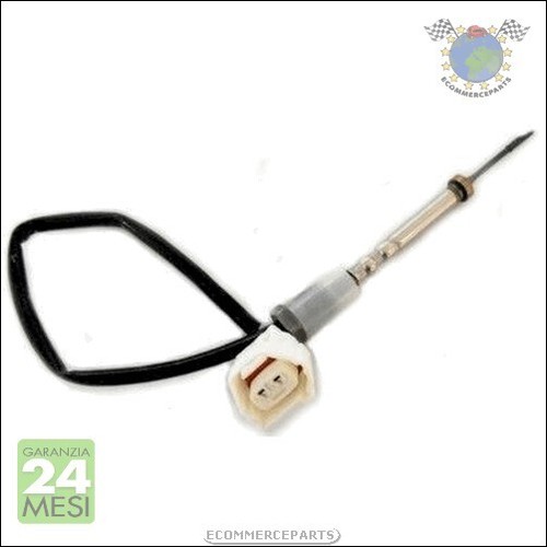 Sensore temperatura gas - temperatura,