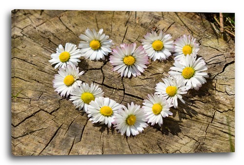 Tela cornice cuore forma - cuore, di