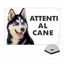 SIBERIAN HUSKY  ATTENTI AL