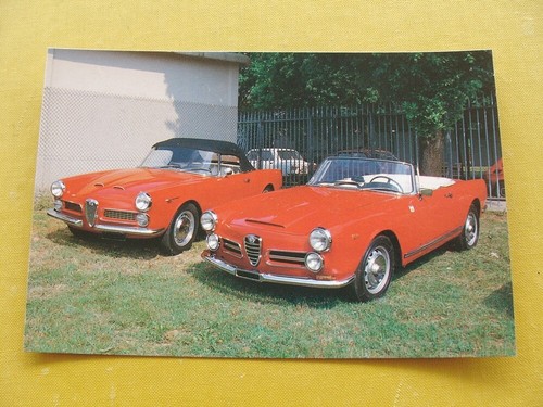 Automobile alfa romeo - automobile,