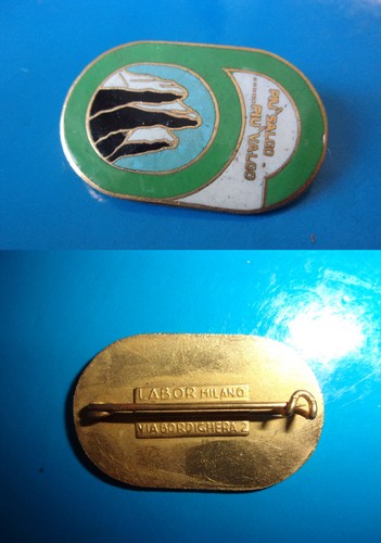 Esercito alpini distintivo - alpini,