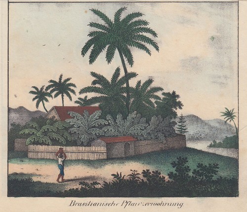 Brasile ethnologie casa - ethnologie,