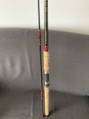 Canna pesca spinning - canna,