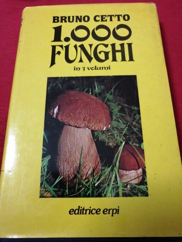 000 funghi vol - 2°, bruno
