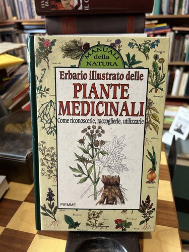 Frate sole erbario - frate,