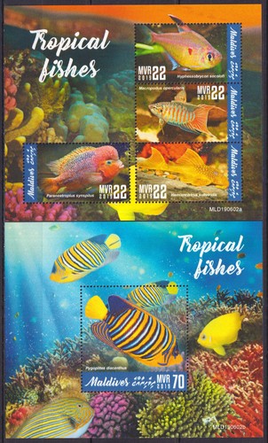 Gs1169 2019 maldive - gs1169,