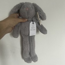 Next My Best Friend Bunny