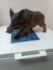 trofeo cinghiale