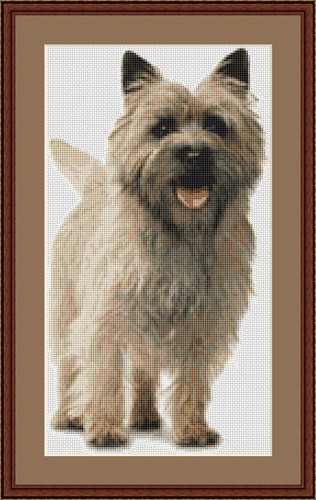 Kit punto croce cane cairn - kit,