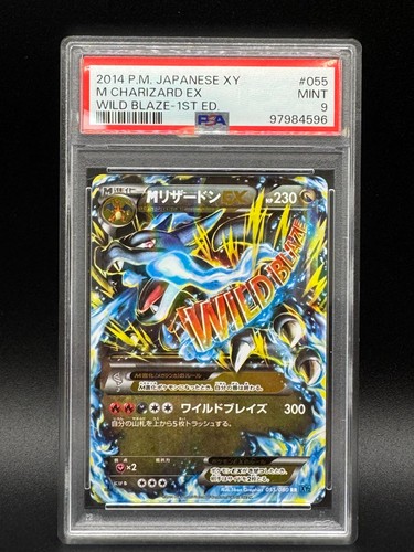 Pokèmon 2014 charizard ex - 2014,