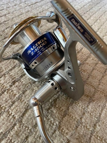Mulinello spinning daiwa - spinning,