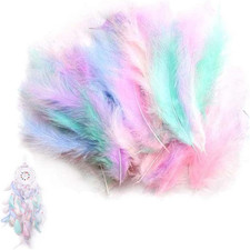 Piume per Fai Da Te, 200