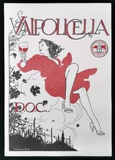 VALPOLICELLA poster manifesto affiche Wine Grapes Vineyard Vino Manara Ita  A41