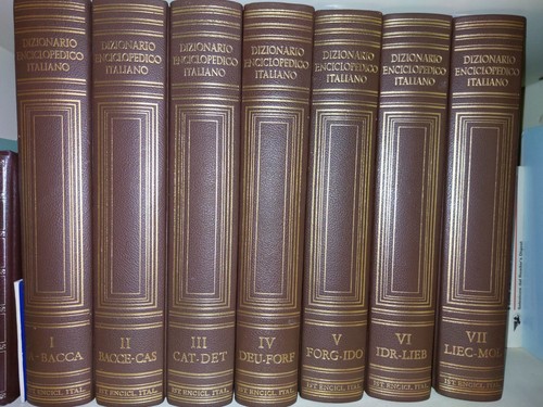 Dizionario enciclopedico