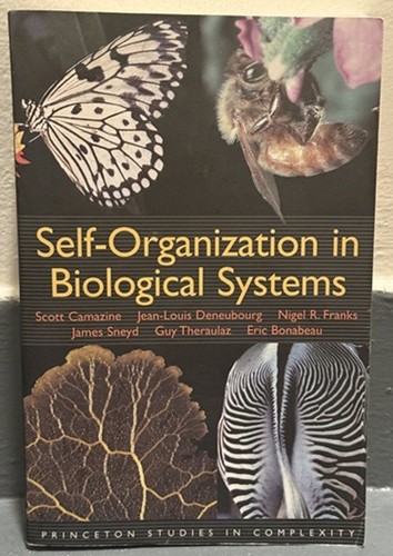 Self organization - self-organization, in