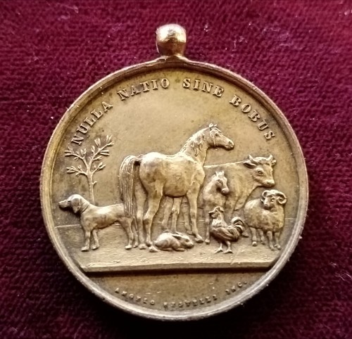 Medaglia dorato fine - in, ag