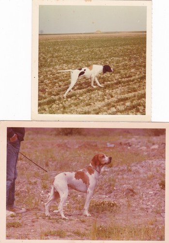 Two vintage colour snapshot - vintage,