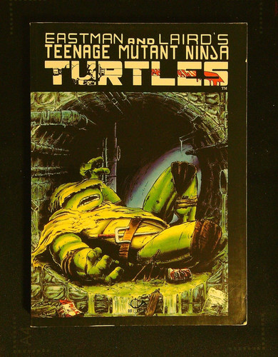 Teenage mutant ninja turtles - teenage,